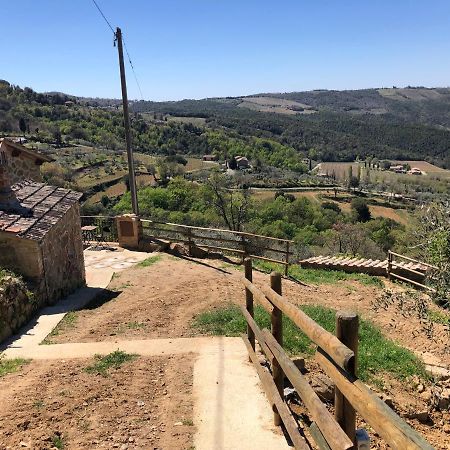 Podere Soccorso Casa Vigneto Montalcino Bagian luar foto