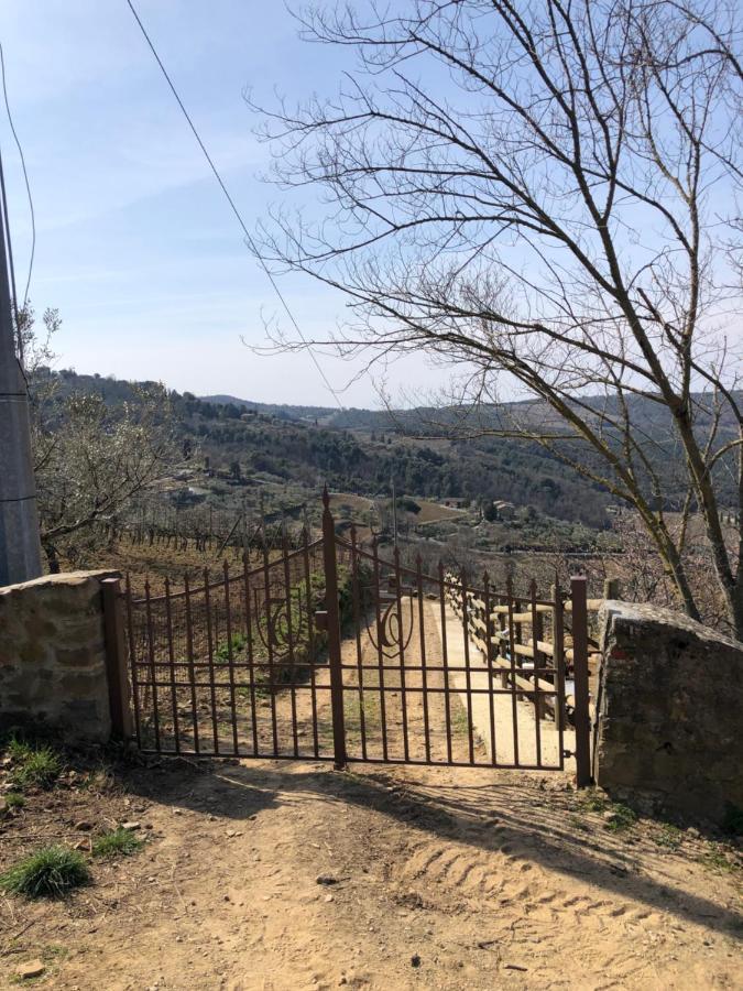 Podere Soccorso Casa Vigneto Montalcino Bagian luar foto