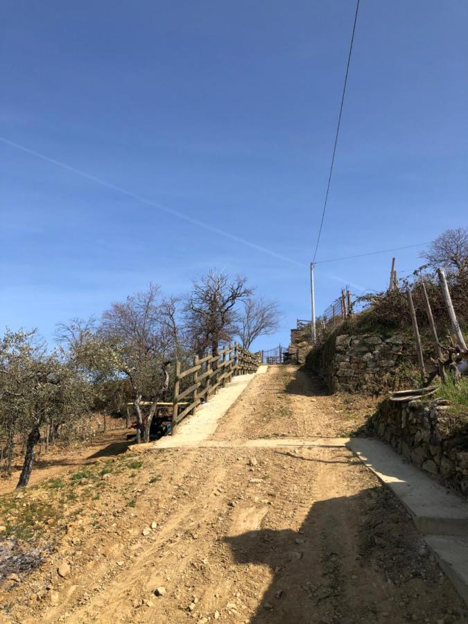 Podere Soccorso Casa Vigneto Montalcino Bagian luar foto