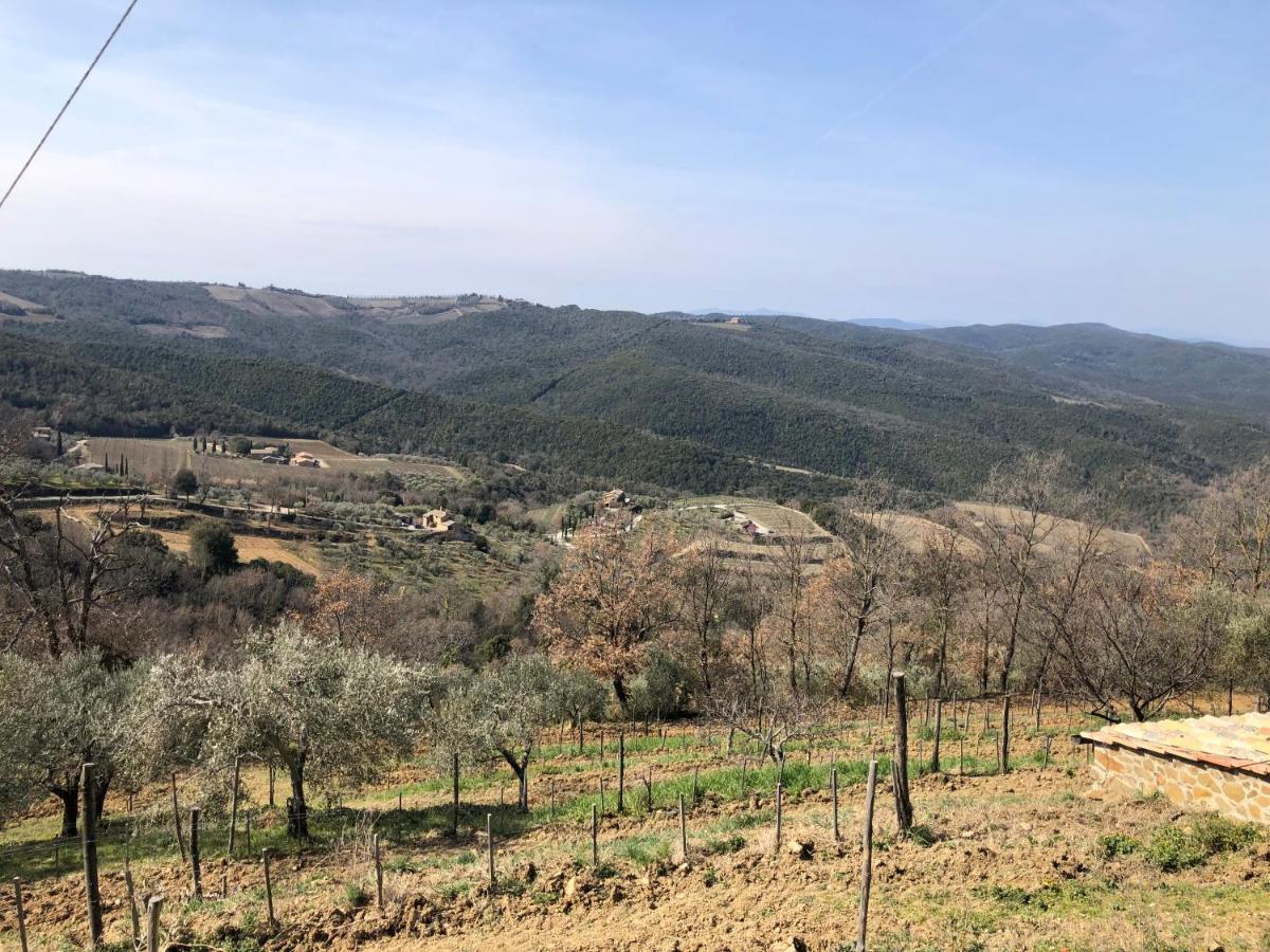 Podere Soccorso Casa Vigneto Montalcino Bagian luar foto