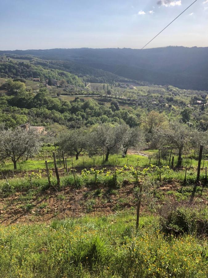 Podere Soccorso Casa Vigneto Montalcino Bagian luar foto